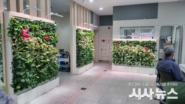 예천군, 공기정화 식물 활용 그린오피스 조성...식물테라피로 힐링 효과 톡톡