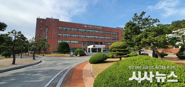 국립수산과학원, 남해중부에 멸치어장 청신호! 변수는 여름철 고수온!