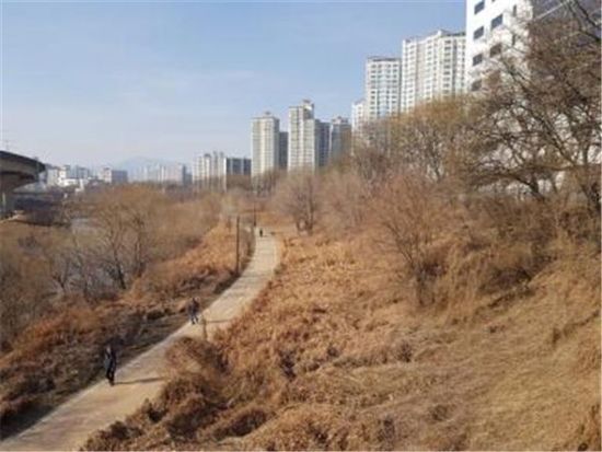 삭막한 청계천 제방, 매화·장미 가득한 초화원 조성
