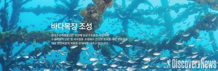 한국수산자원공단, 연안바다목장 조성 중 트럭운전자 사망... 책임은 기업만?
