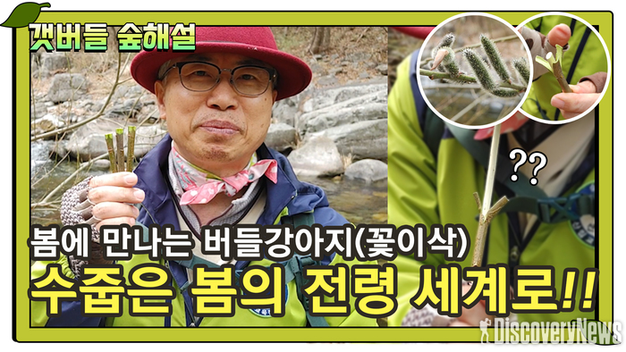 국립자연휴양림을 집에서도 실시간으로 보고 느껴봐요.
