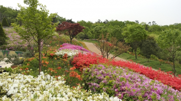 영인산 힐링 숲 체험으로 잠시 쉬었다 가세요