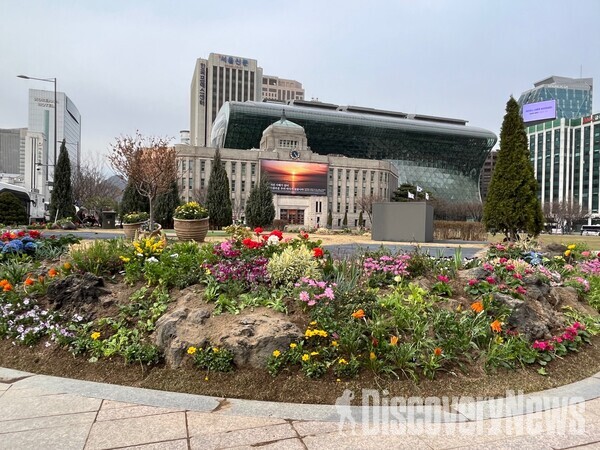 서울시, 서울광장에서 봄을 느낀다.. 푸른 잔디와 꽃단장으로 봄 마중 완료