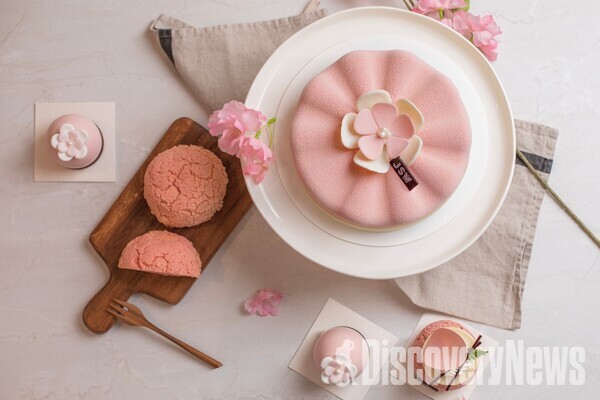 제주신화월드 봄 디저트... 랜딩 델리, 제주 벚꽃 맛집으로 등극