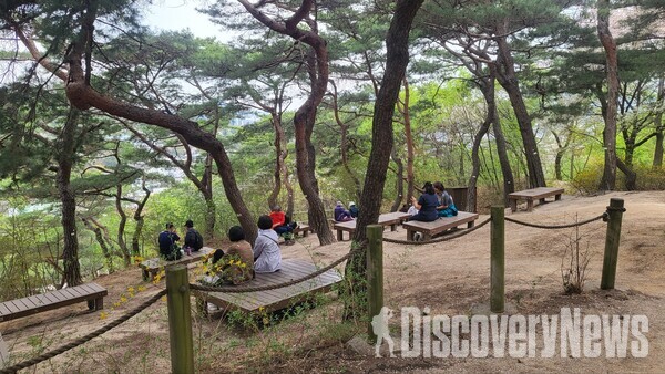 서울시 남산, 피톤치드 가득한 소나무 힐링숲 4월부터 전면 개방