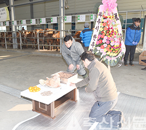 경기 서북부 대표 가축시장…파주연천축협 가축시장 새해 첫 개장