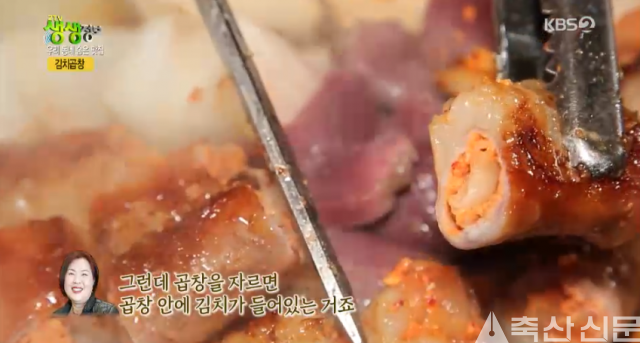김치곱창 진작 먹어볼걸 일상 분노 제거 극찬 잇따라...좋다고 난리 