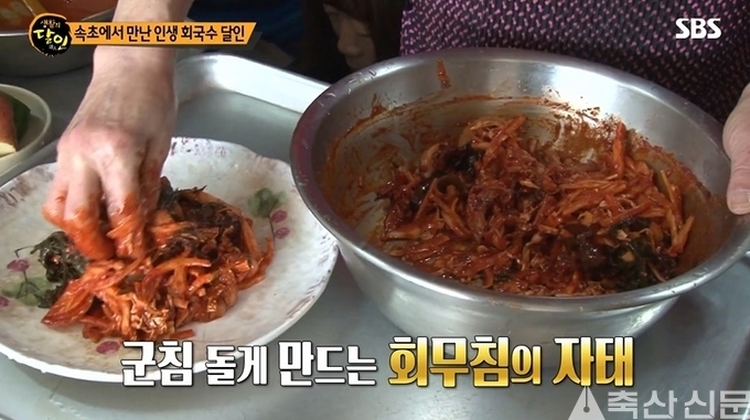 속초 회국수, 비밀은 항아리...상상 이상의 맛, 실화?