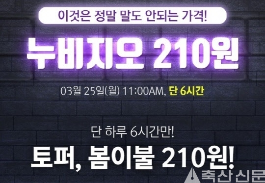 누비지오 가격깡패 