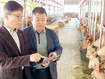 <한국종축개량협회-축산신문 공동기획>개량의 민족  ① / 충북 진천군 ‘명진다하누’ 농장