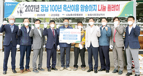 경남농협, 100년 축산이음, 암송아지 나눔 ‘신호탄’