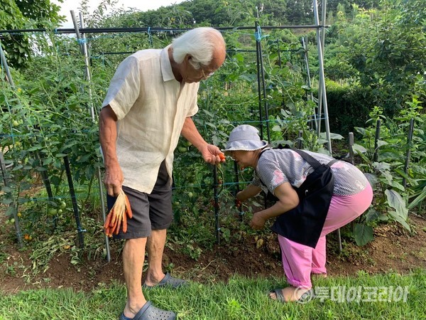 [6차 IN] 산양과 함께하는 귀농·귀촌의 롤 모델, 고성리 산양목장