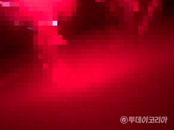 [단독] 꼼수에 불법까지...클럽 금지되니 라운지 바가 클럽으로