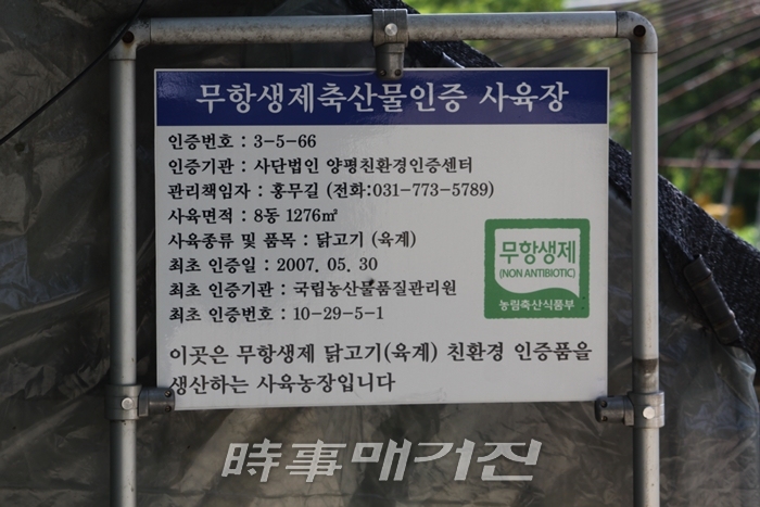 인터뷰) 무항생제 닭 인증 세계치킨 홍현래 대표 국민들께 건강 보증할 것