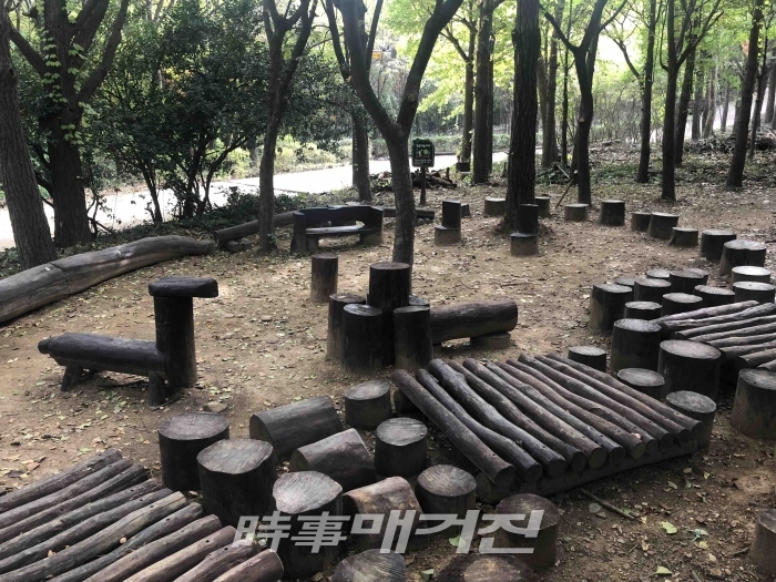 관악구, 자연 배움 공간 마련... 선우공원 유아숲체험원 조성