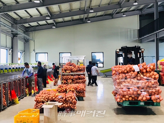 한국농수산식품유통공사(aT), 농산물산지유통센터(APC)에서 대만으로 양파 수출