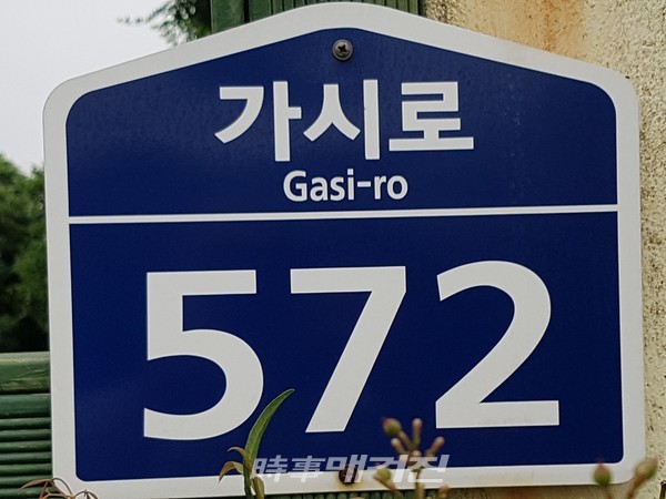 커피 맛이 살아있는 제주, 모드락 572 매일 커피 볶는집 탐방