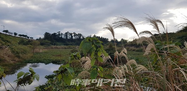 2025 제주올레걷기축제