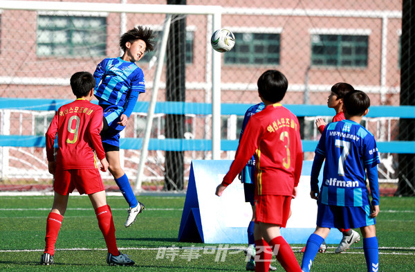 전국 37개 공공스포츠클럽 공개 모집