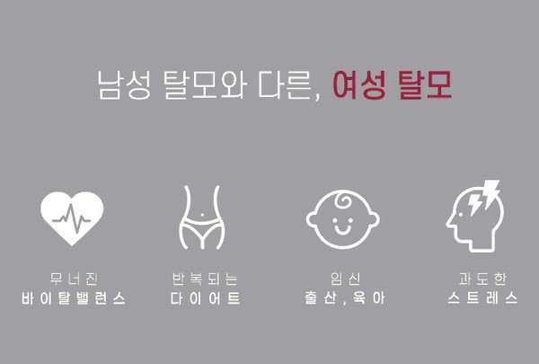헤어플러스, 여성용 바이탈 밸런싱 쉬즈 라인 샴푸&두피팩 출시