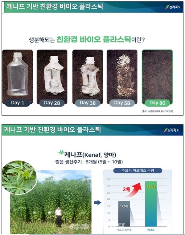 전북도, 케나프 기반 친환경플라스틱 산업화 최종 선정 !