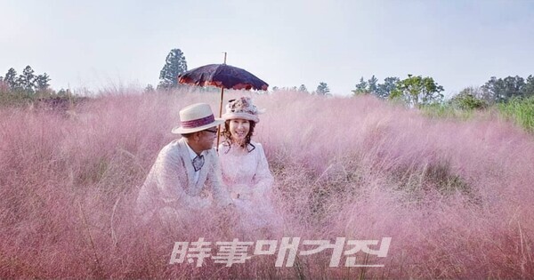 [핫플레이스IN제주] 4계절의 감성과 추억을 간직한 감성정원 제주 파더스가든