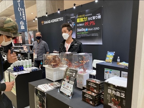머쉬웰 통일주권 발행... 기술특례상장 대비한다
