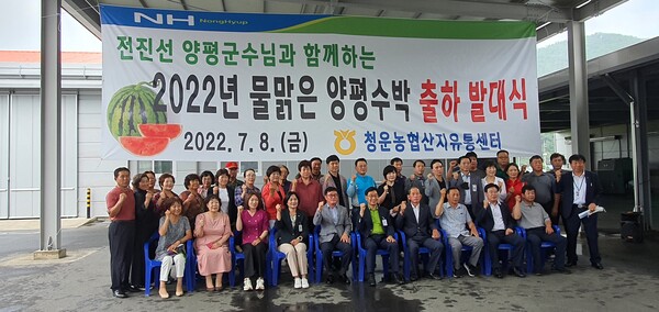 양평군, 묽맑은 양평 수박 본격 출하 시작