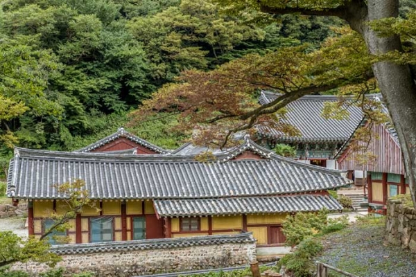 [주말엔 뭐하지?] 땅끝에서 차(茶)의 향이…대한민국 최남단 해남으로 가자