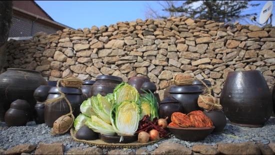 [2019 안전한 식탁] 겨울 김장철, 맛도 마음도 든든한 으뜸 김장채소 ‘해남 겨울배추’
