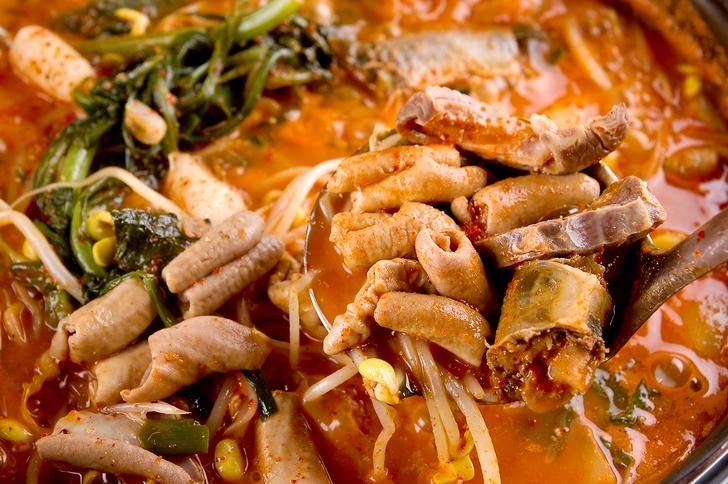 [집에서 술안주] 부산대구 맛집 부럽지 않은 낙곱새 황금레시피!