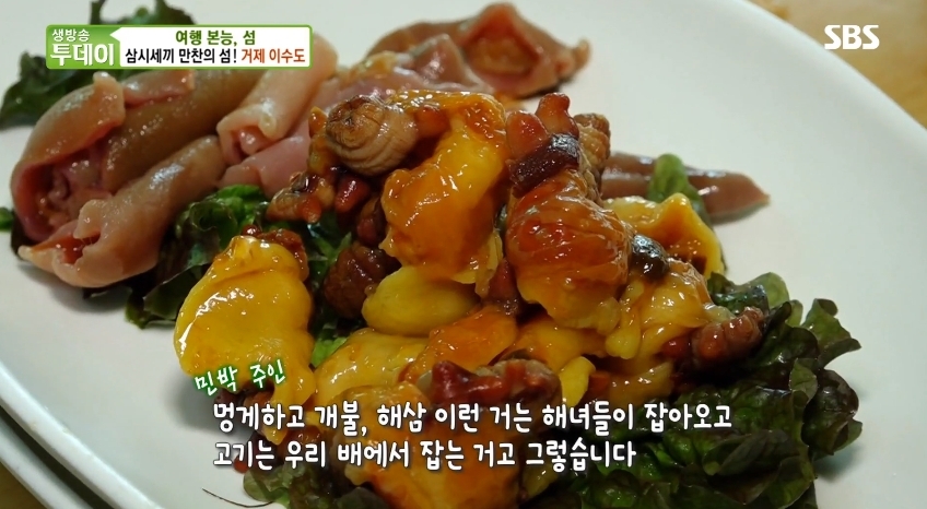 “식도락 봄 여행지” 거제 이수도, 배로 단 5분 “야생 사슴에 출렁다리-전망대까지?”