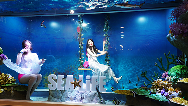 패션에 물든 SEA LIFE 부산아쿠아리움, 이색 체험공간 ‘패션존’ 오픈