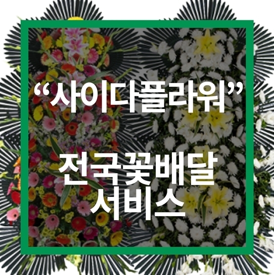 근조축하화환 개업화분전문 사이다플라워 전국꽃배달서비스 개시