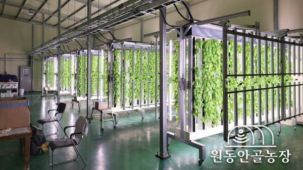 영농 스타트업 원동안골농장, 양액 제조·재활용 기술 앞세워 공주 대표 스마트팜 업체로 각광