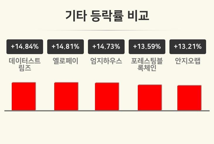 [기타업종 오전 시황] 데이터스트림즈 +14.84%·옐로페이 +14.81%·엄지하우스 +14.73% 순
