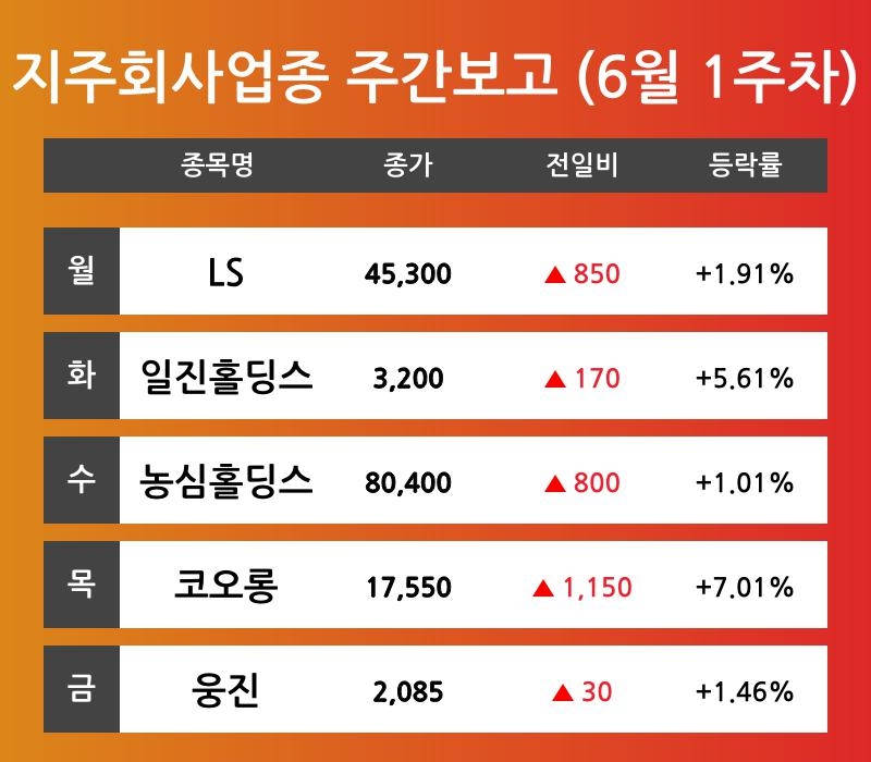 [6월 1주차 지주회사 테마 리포트] LS, 일진홀딩스, 농심홀딩스, 코오롱, 웅진 등 주도 