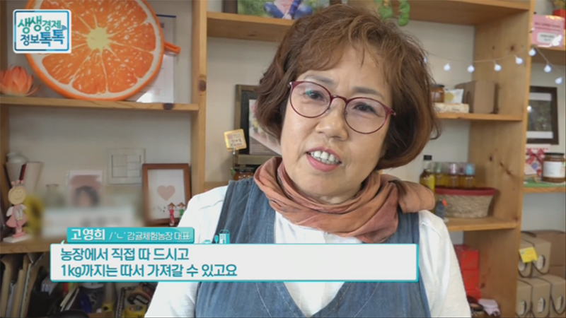 제주 감귤 체험 ‘노형감귤체험농장’, 당유자차부터 무농약귤잼 만들기도 인기