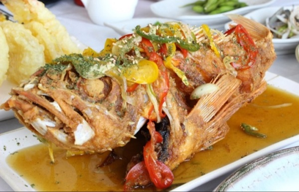 제주도 맛집 ‘대박횟집’, 함덕해수욕장 근처 당일 잡은 다금바리로 특별한 한 끼 맛보러 가볼만한 곳으로 알려져
