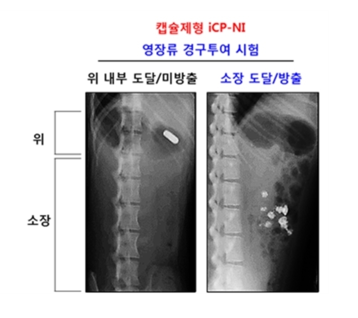 [제약+] 종근당 오픈이노베이션 성과…CR-845 FDA 승인 外