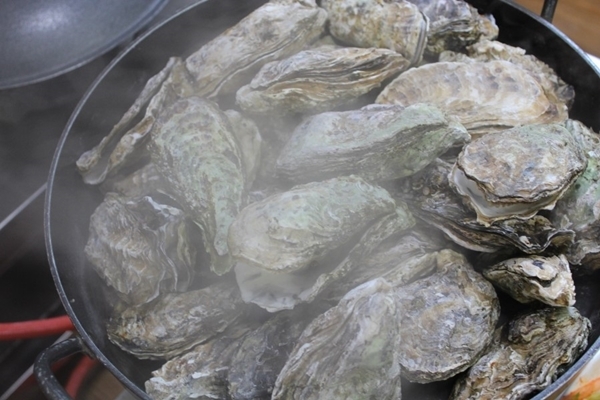 거제도 맛집 포로수용소 굴구이, 생물 굴구이는 3월까지만