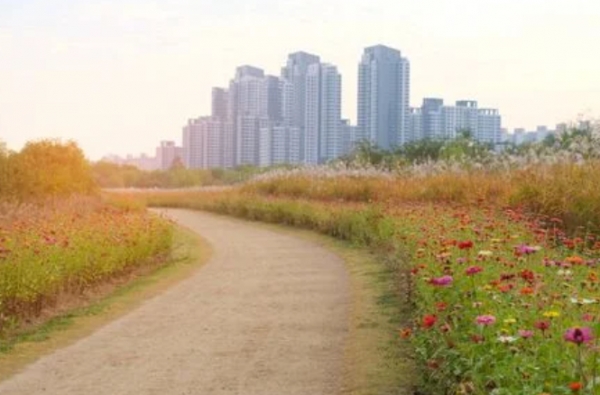 한강공원 녹지관리 기간제 근로자 112명 채용