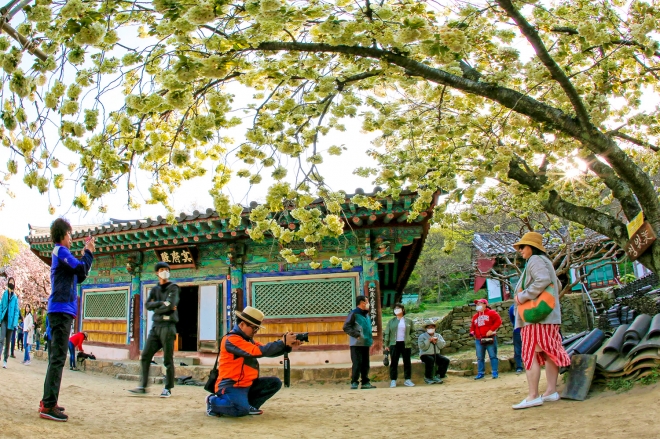 서산시, ‘2020 서산관광 사진 온라인 전시회’ 힐링 여행 떠나요!