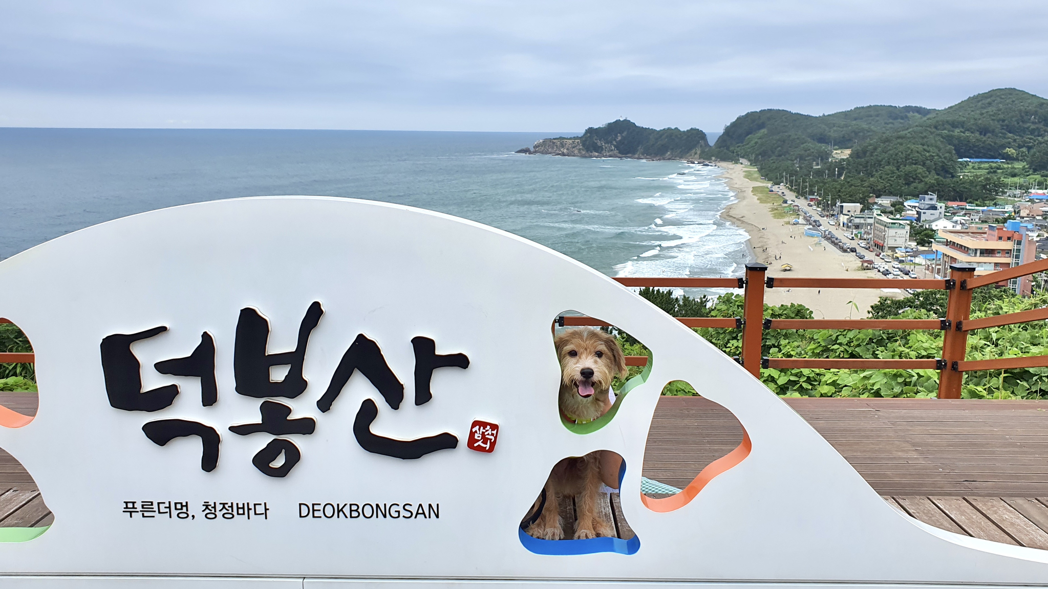 영스테이 3