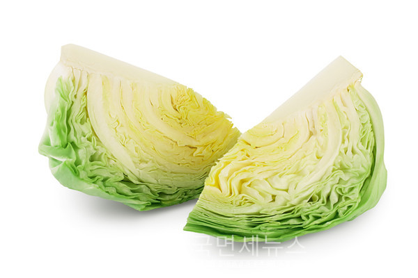 양배추가 장수식품으로 불리는 이유…양배추의 숨겨진 효능들