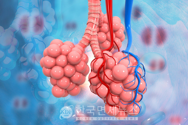 기관지 건강에 좋은 홍삼, 제품 똑똑하게 고르는 팁