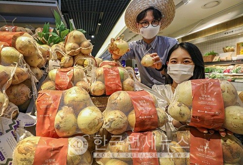 아삭한 양파 맛보세요!