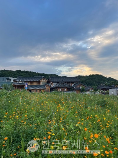 동송 오천, PC방 코로나-구니CC-서문시장 동산상가-서초 나무당구←必검진→나이키수송점-성불계곡-군산 뉴문화온천 등 [코로나19, 28일]