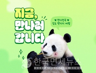 하나투어, 중국 판다기지 관람 여행상품 선보여