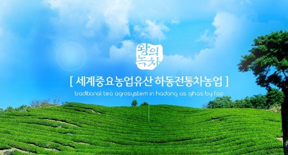 하동군신활력플러스사업추친단 / 한국기능음식협회 김근기 회장 초청, 하동차(茶)의 고부가가치 산업화를 위한 식품외식업 활성화 방안 워크숍 개최